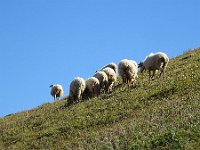 2019-09-12-157 : MTB, Transalp, Transalp 2019