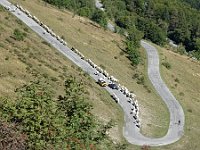 Almabtrieb : MTB, Transalp, Transalp 2019