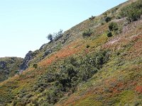 2019-09-12-69 : MTB, Transalp, Transalp 2019