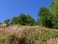 2019-09-13-54 : MTB, Transalp, Transalp 2019