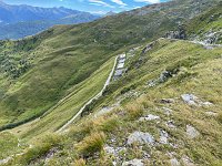 IMG 4393