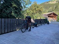 IMG 4489