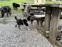 IMG 4538