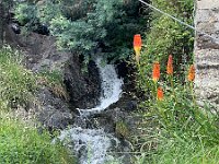 2024-AlpenX-Tag02-26 : Comersee, MTB, Transalp