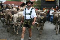 viehscheid.jpg